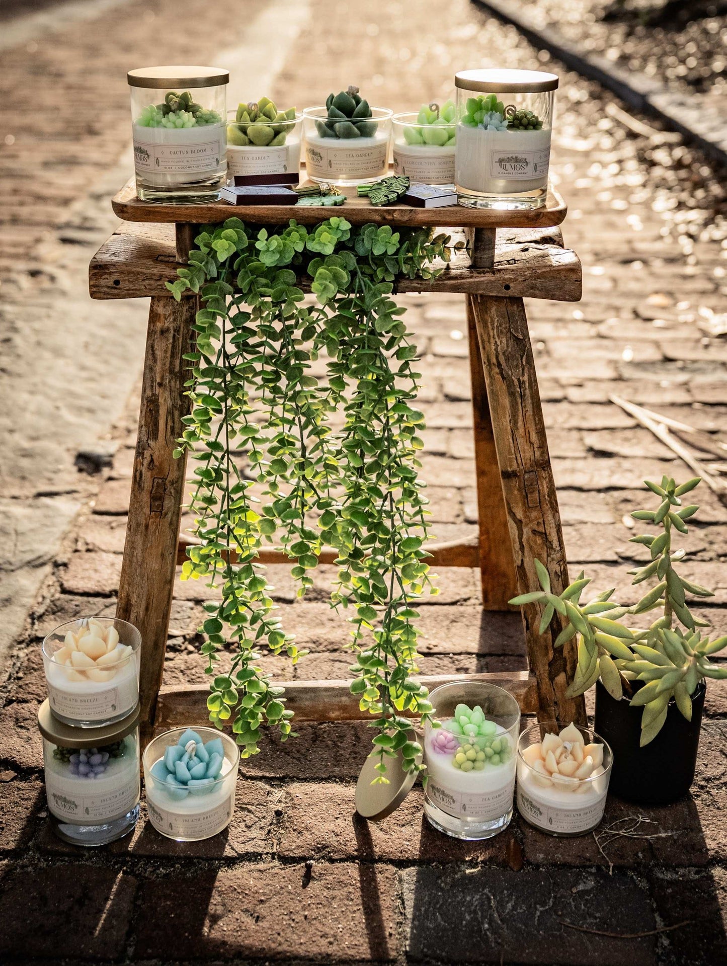 Collection of potted plants and jars on a wooden stand outdoors.
