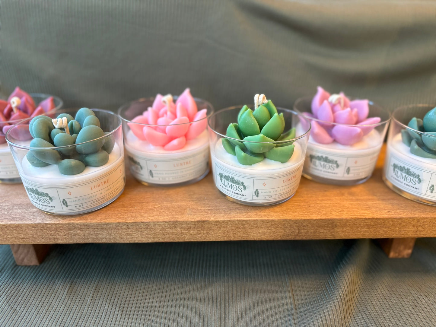 6 oz succulent candle with coconut soy wax, featuring green, pink, and purple succulent designs in glass jars