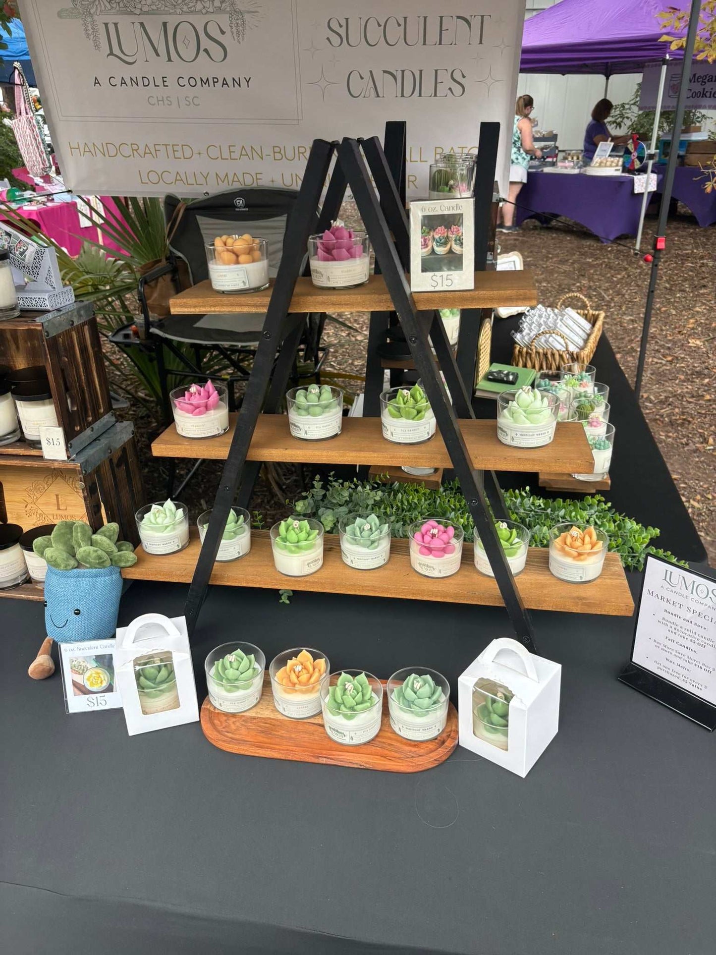 Display of handcrafted succulent terrarium candles made with coconut soy wax in various colors on wooden shelves at a market stall