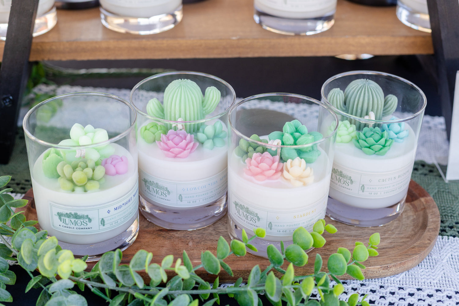 Succulent Terrarium Candle Collection – Handcrafted Botanical Candles for Home Décor Lovers
