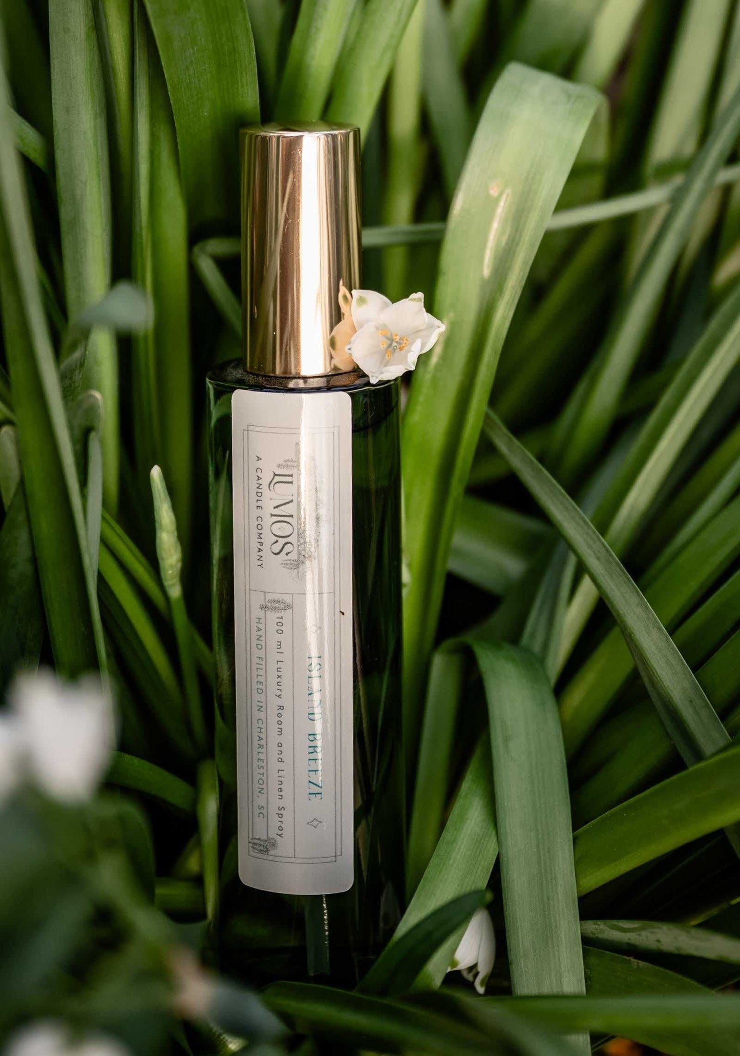 LUMOS Room + Linen Spray luxury home fragrance mist in elegant glass bottle with gold sprayer, available in Island Breeze, Midnight Marsh, and Cactus Bloom scents.