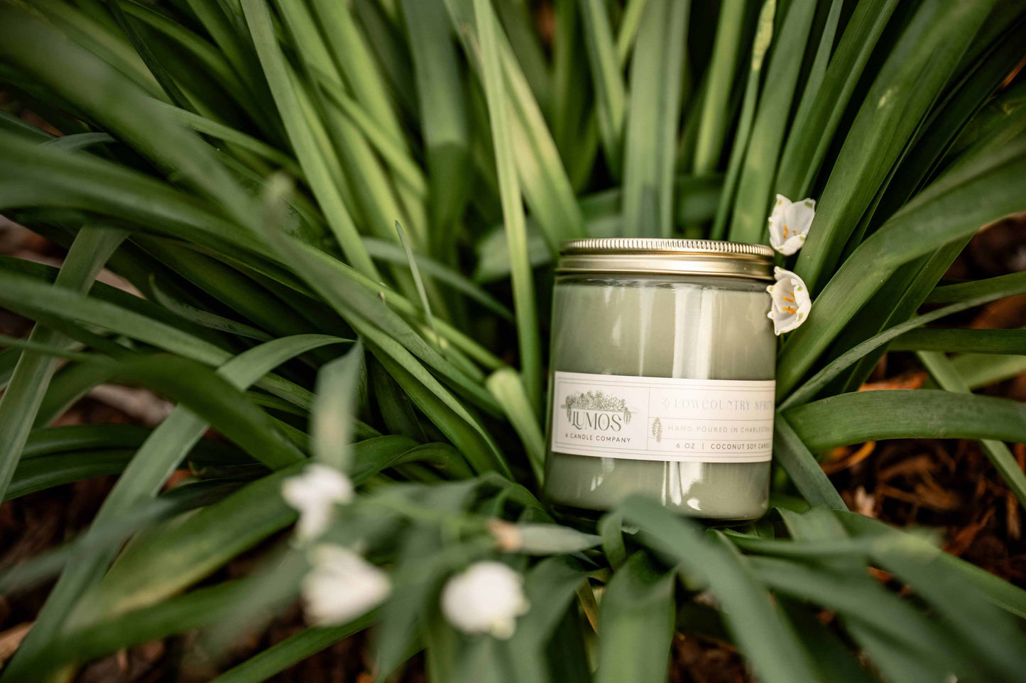 LUMOS Hand-Poured Coconut Soy Candle in sage green glass with gold lid, luxury clean-burning home fragrance