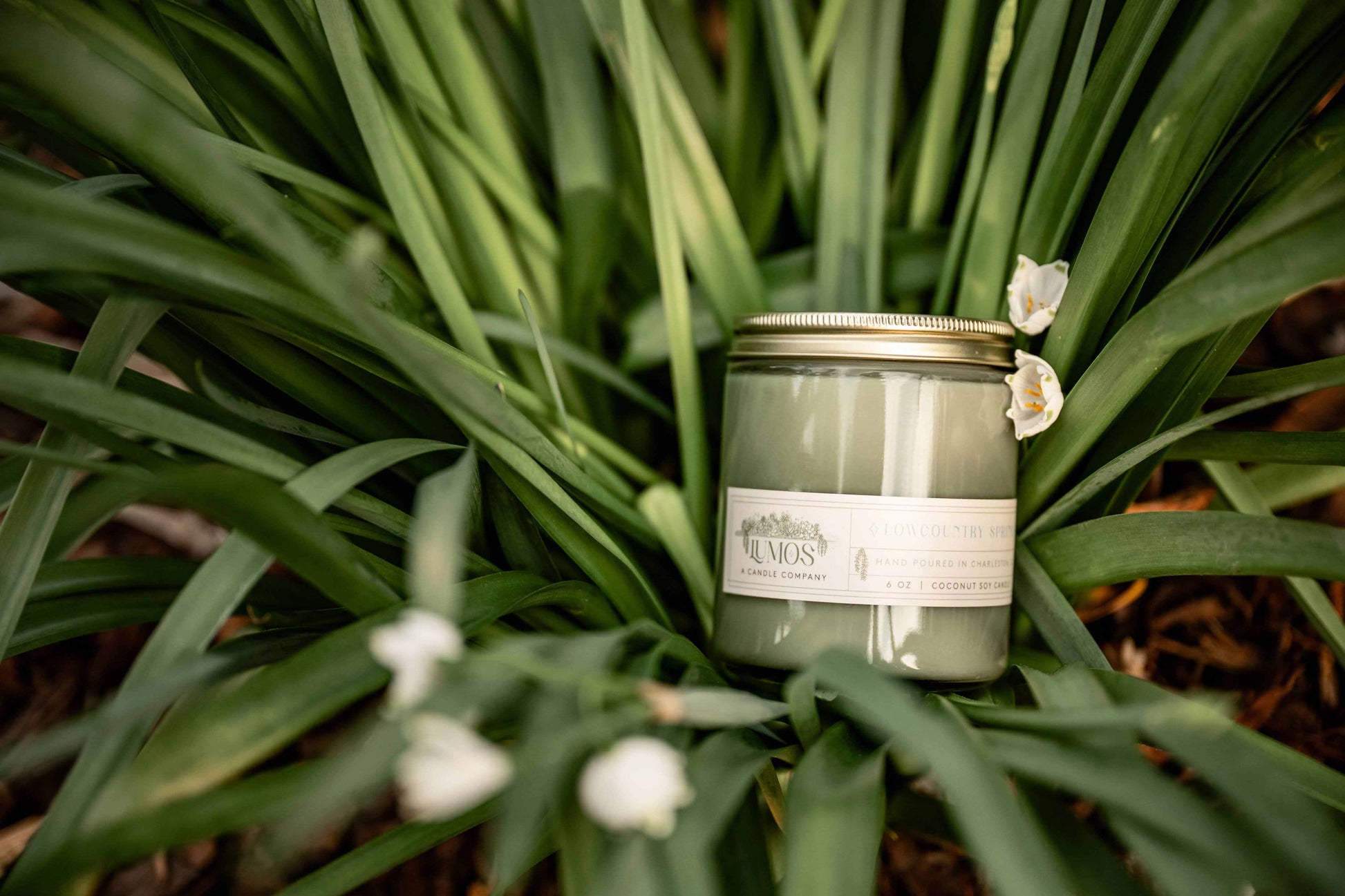 LUMOS Hand-Poured Coconut Soy Candle in sage green glass with gold lid, luxury clean-burning home fragrance