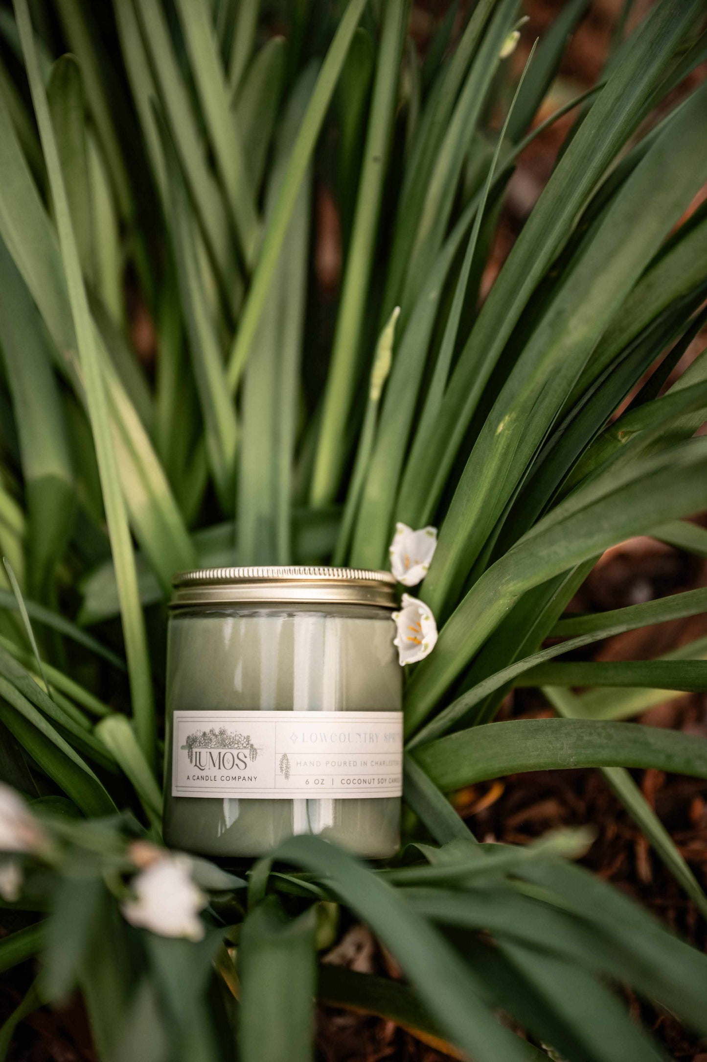 LUMOS Hand-Poured coconut soy candle in sage green glass with gold lid for luxury home fragrance