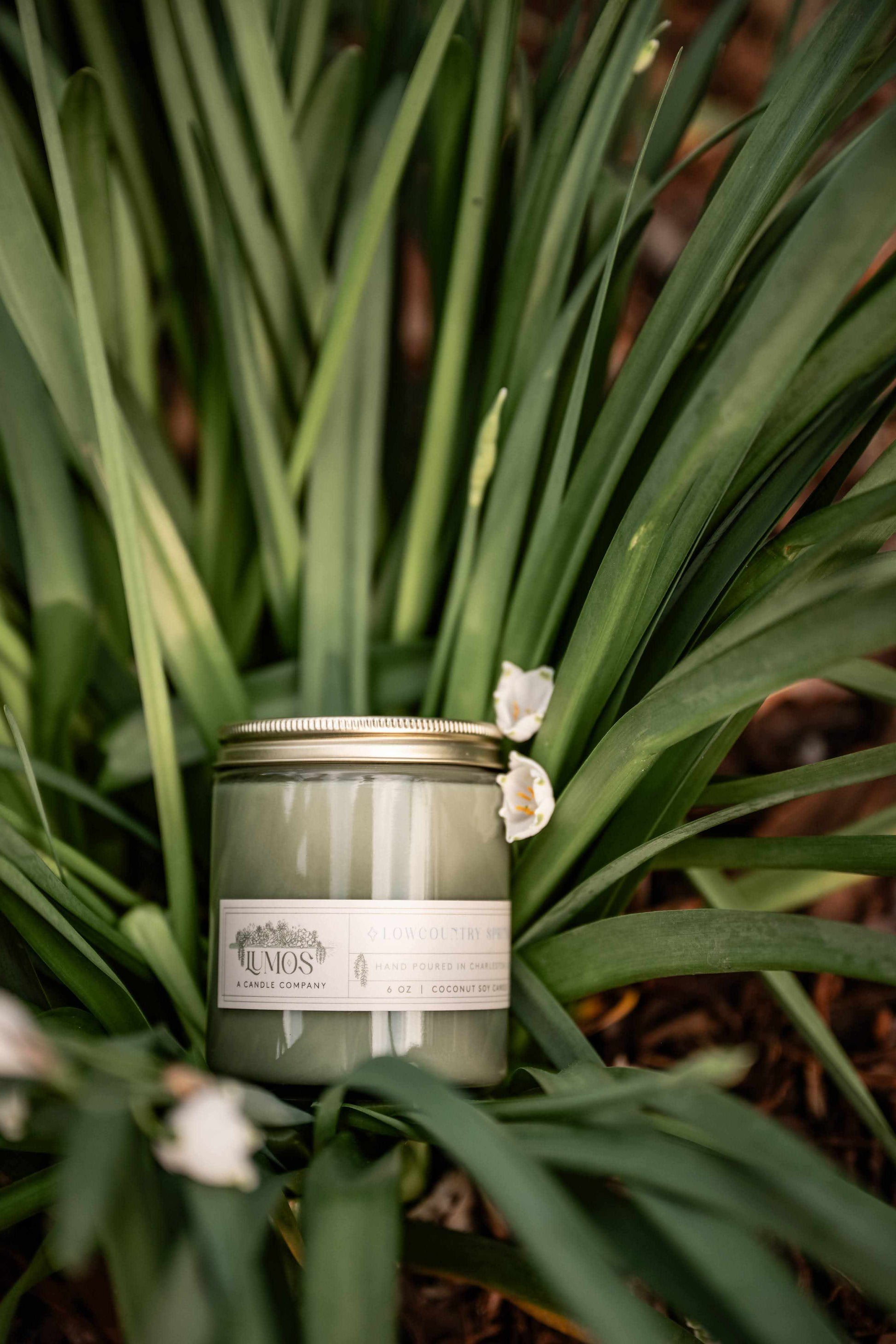 LUMOS Hand-Poured coconut soy candle in sage green glass with gold lid for luxury home fragrance