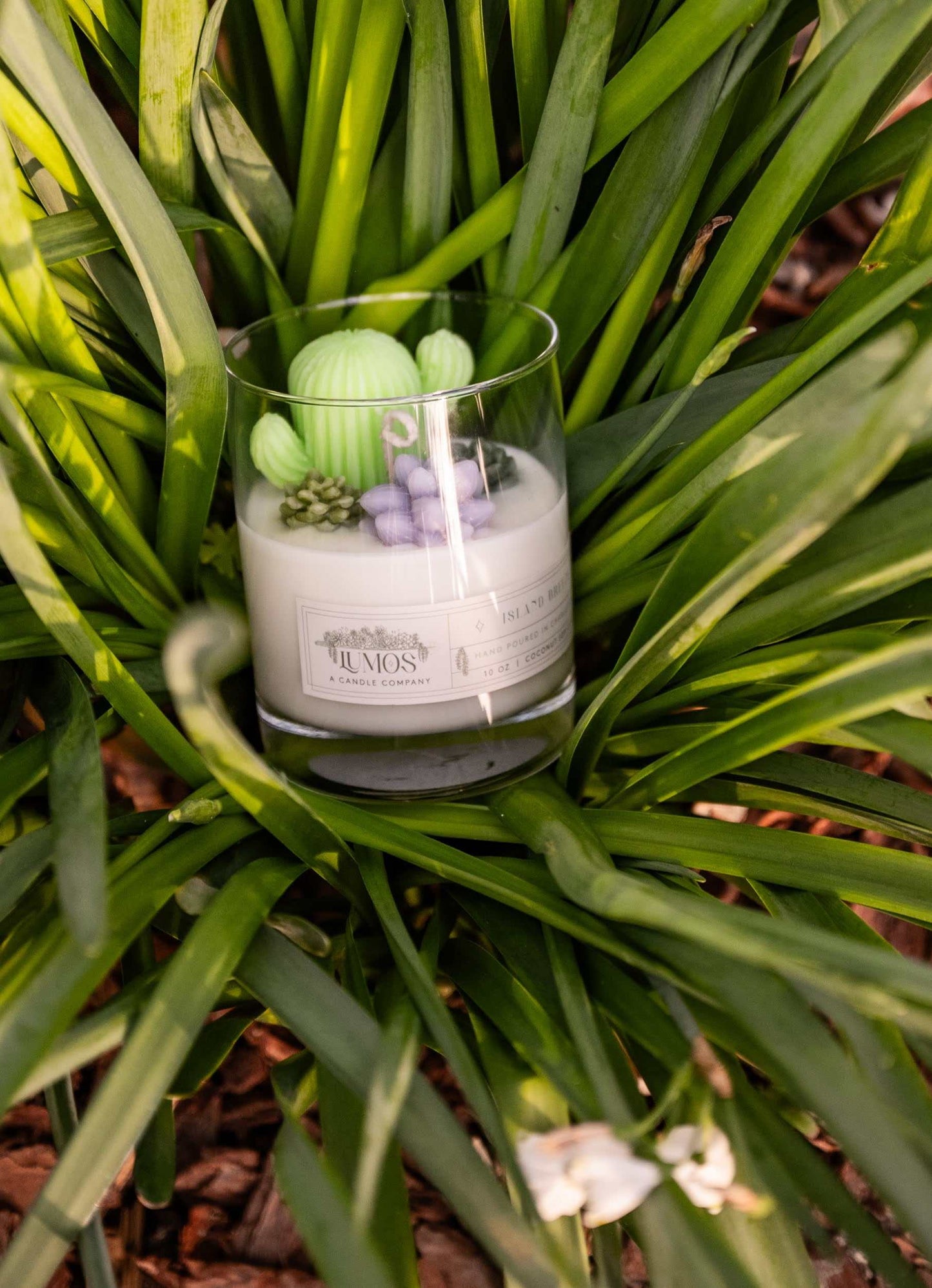 Candle in a glass holder with decorative elements surrounded by green plants