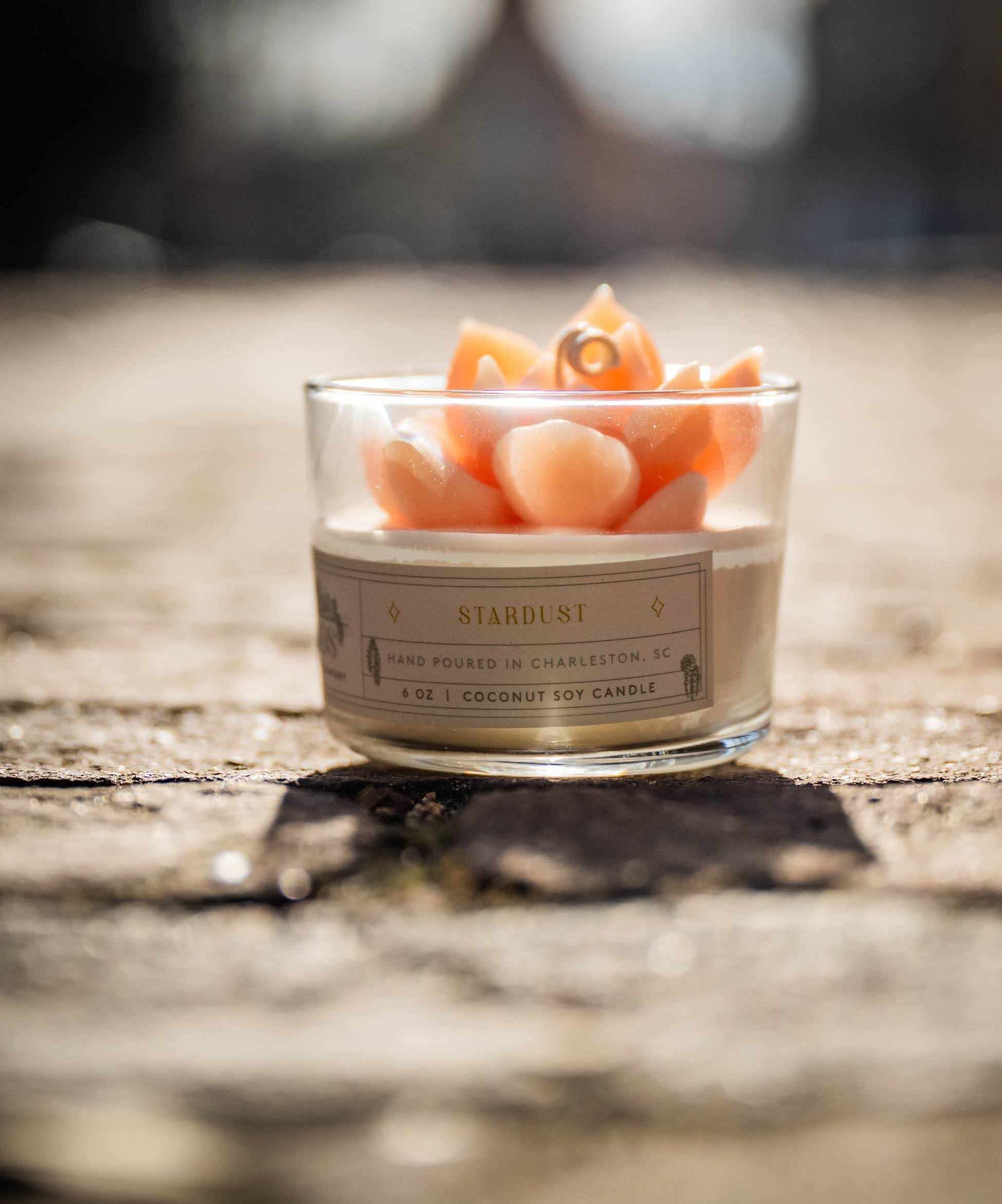 Succulent terrarium candle with realistic succulent accent and coconut soy wax for nature-inspired home decor