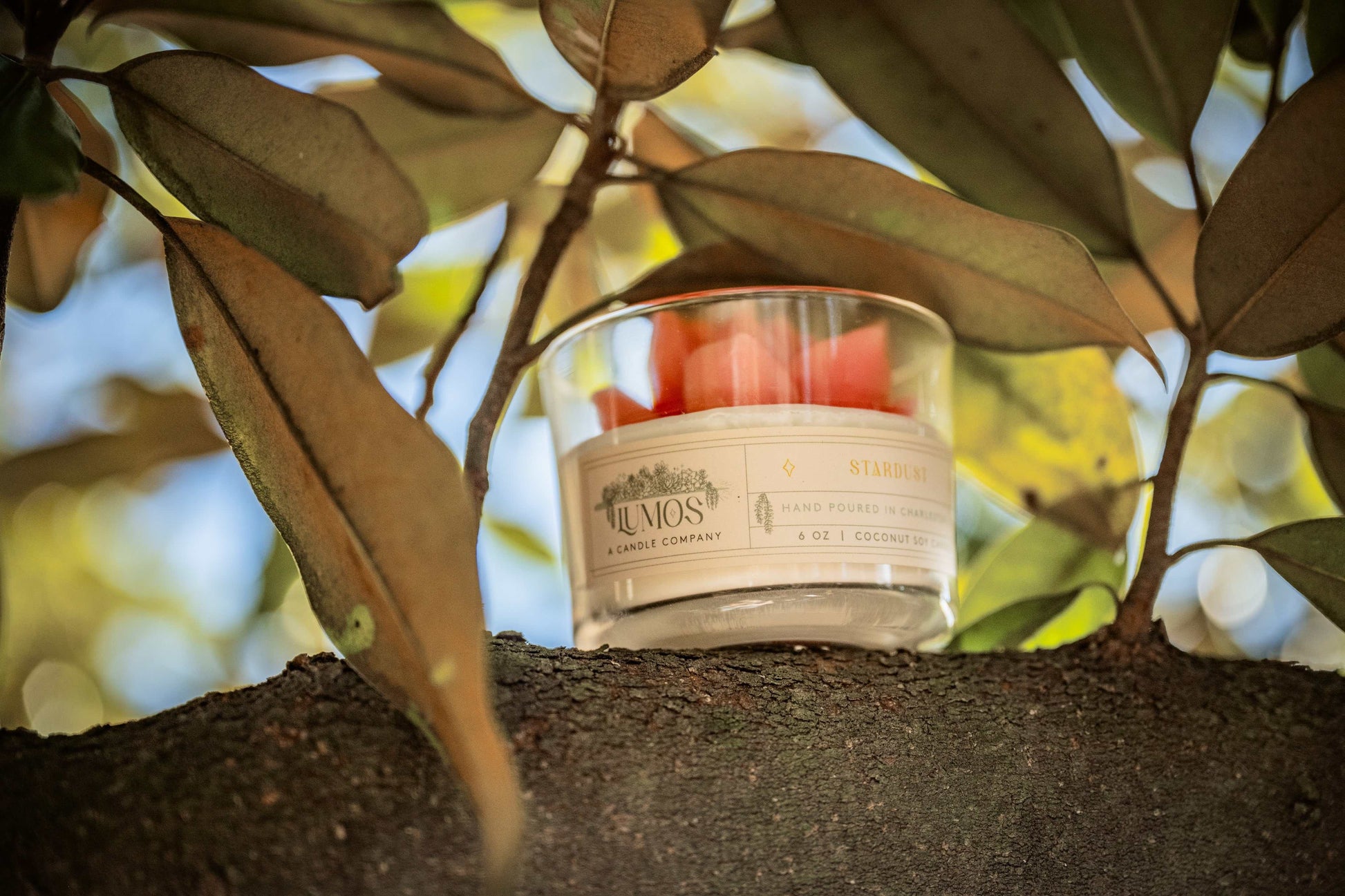 Succulent terrarium candle with realistic succulent and coconut soy wax for nature-inspired home decor