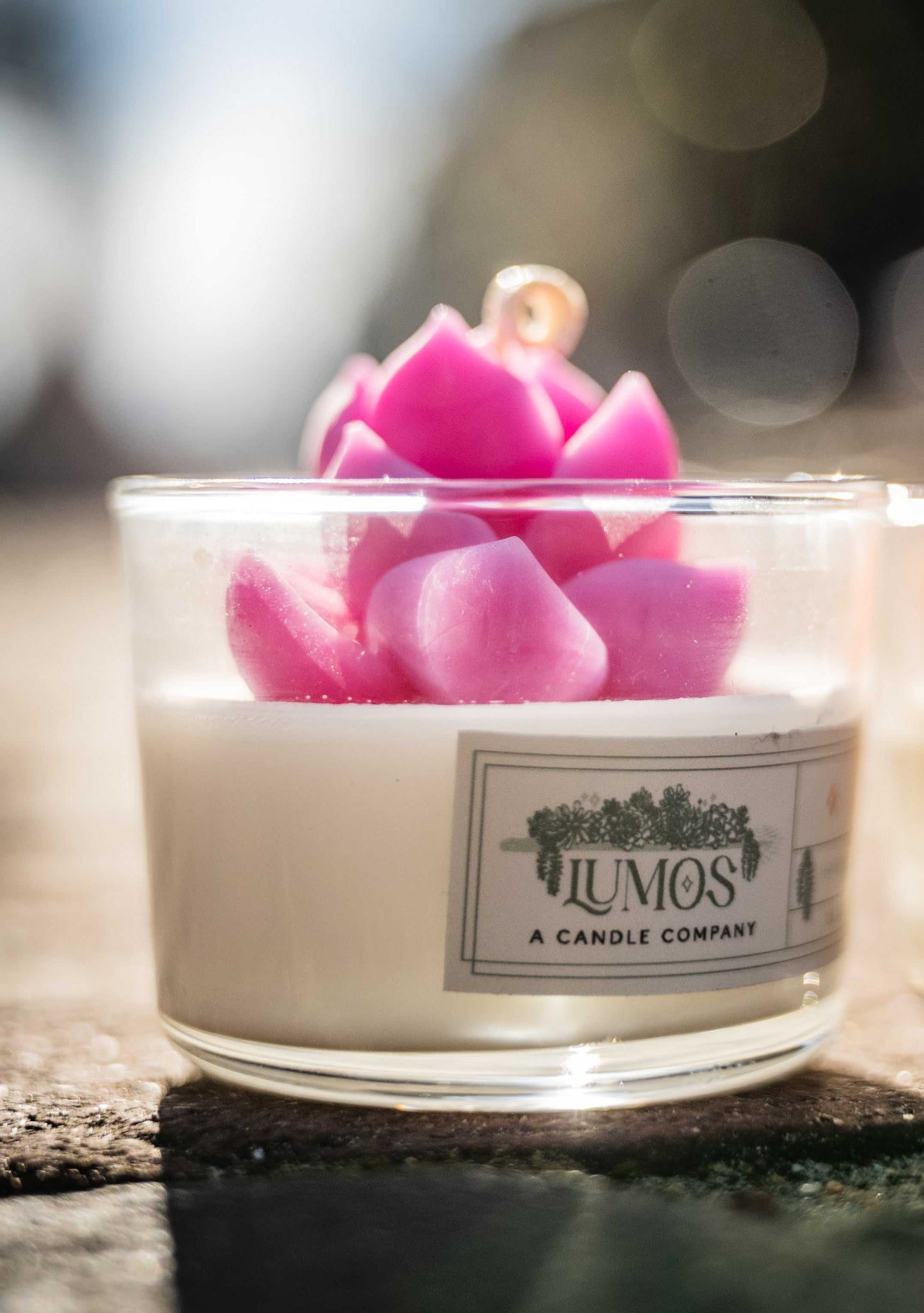 Succulent Terrarium Candle with realistic succulent and coconut soy wax in 6 oz jar for nature-inspired home decor