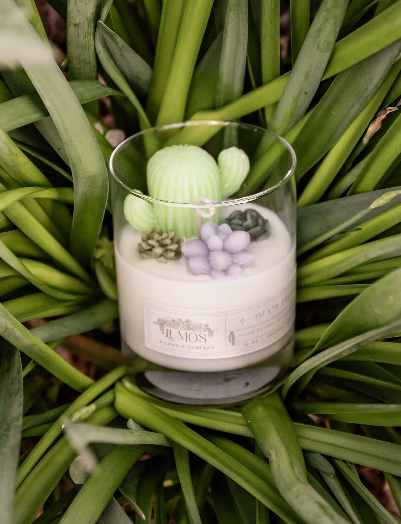Succulent terrarium candle in glass container made from coconut soy wax, eco-friendly home decor with plant-inspired design