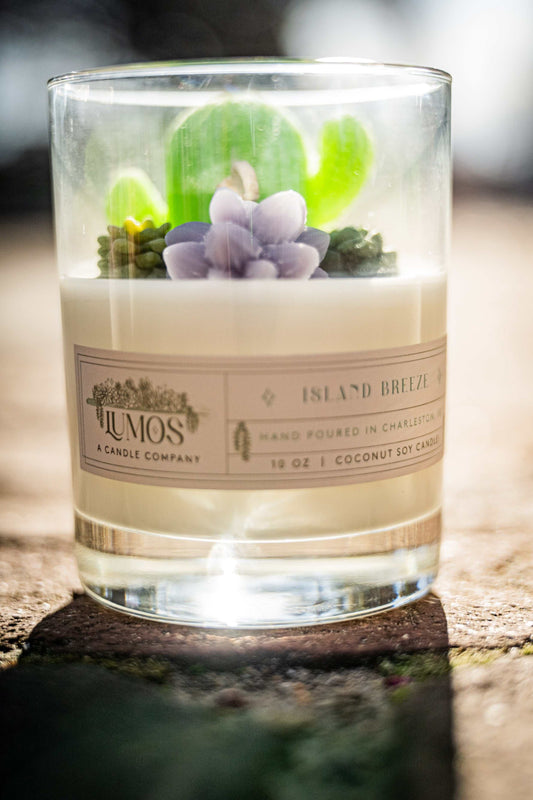 Candle with succulents inside, labeled 'Lumos', on a cobblestone surface.