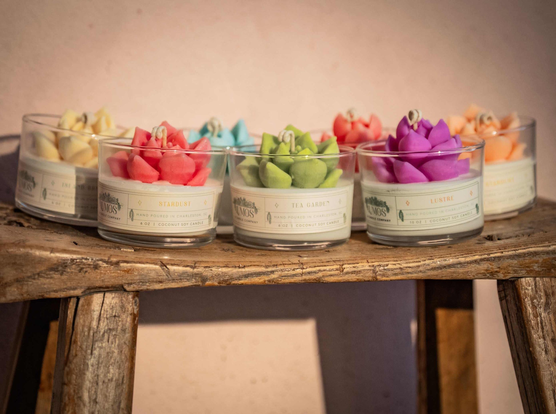 Succulent Terrarium Candle with realistic succulent on coconut soy wax, nature-inspired home decor.