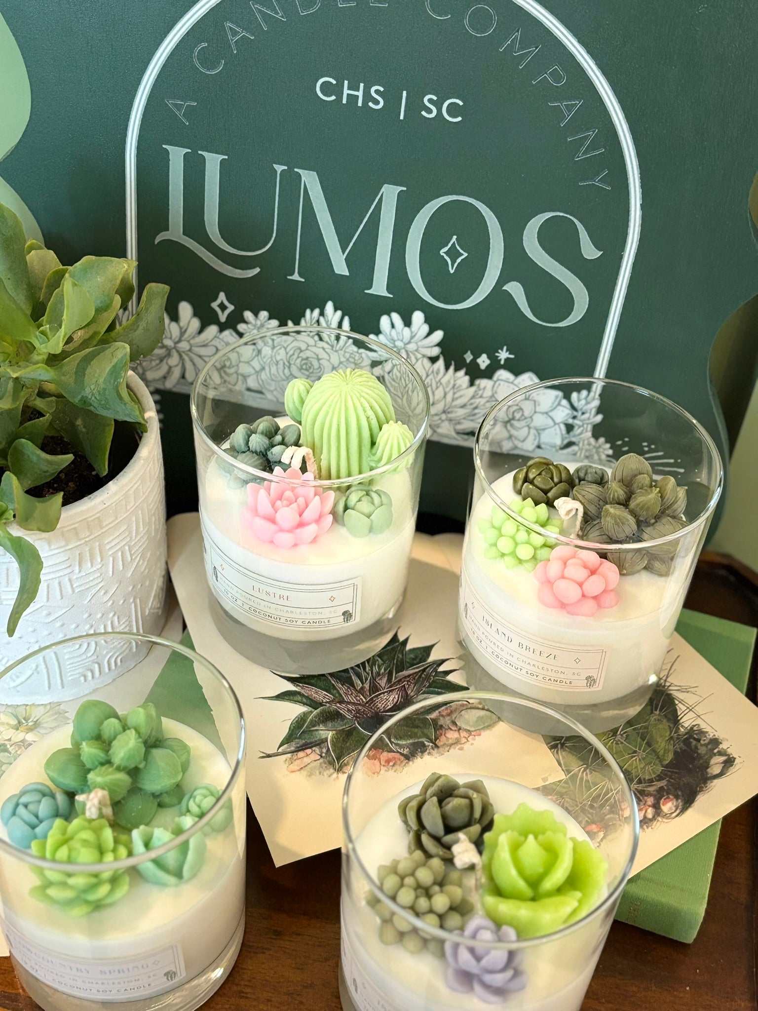 Decorative candles with plant designs in front of a 'LUMOS' sign.