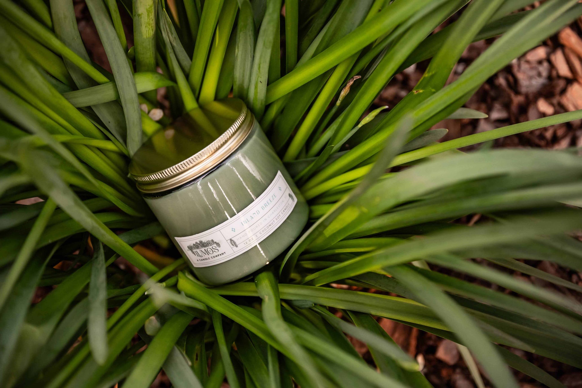 LUMOS Hand-Poured Coconut Soy Candle in green glass with gold lid, luxury home fragrance