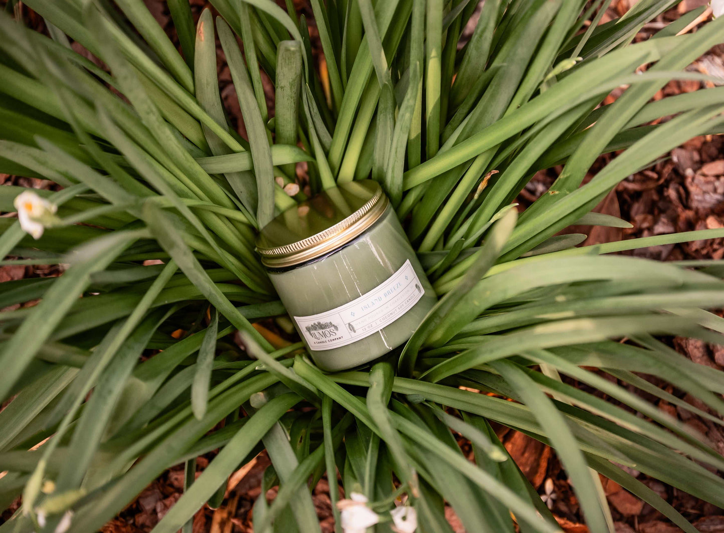 LUMOS Hand-Poured coconut soy candle in green glass with gold lid for luxury home fragrance