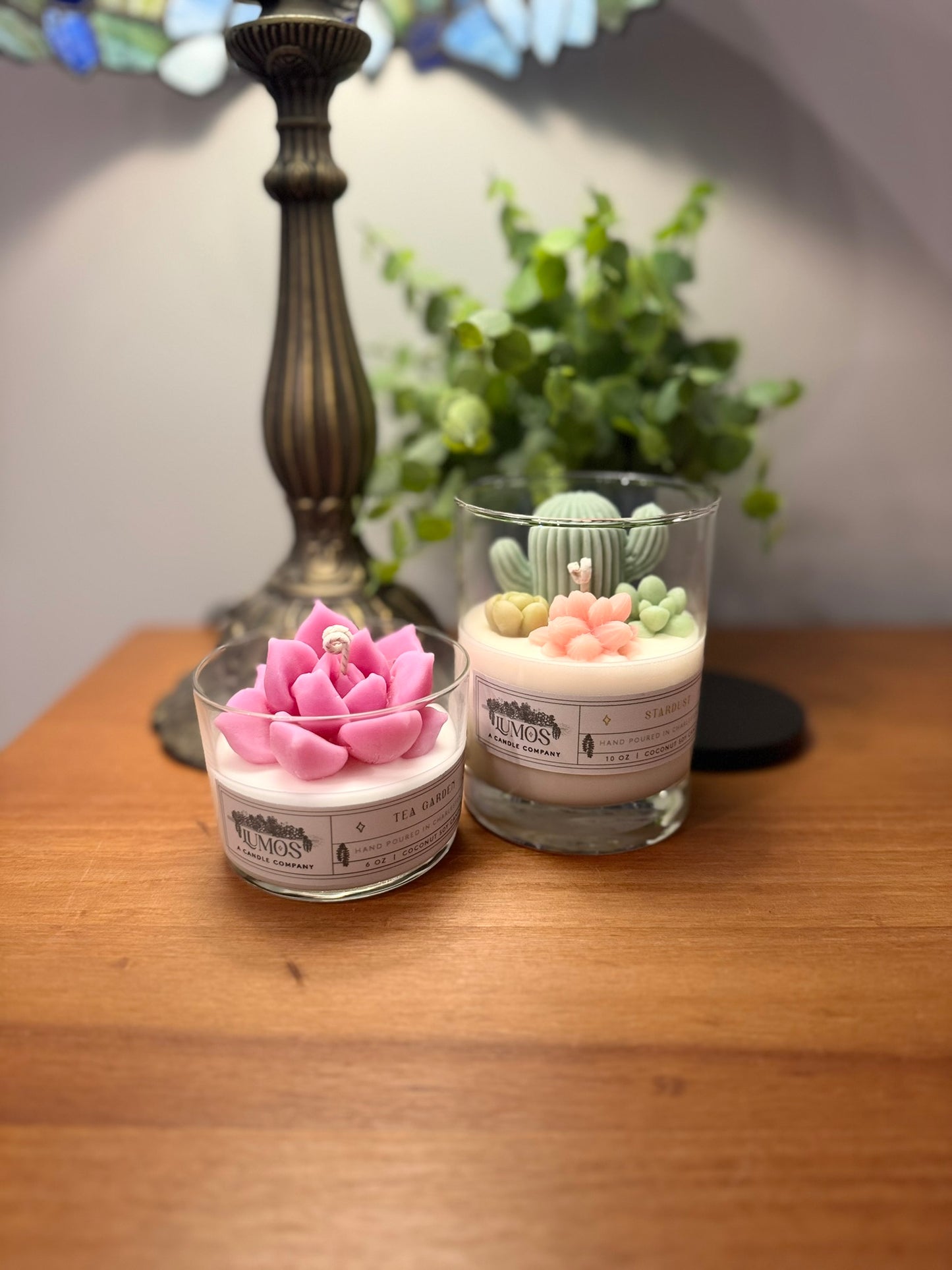 10 oz Handmade Succulent Terrarium Candle - Coconut Soy Wax, Nature-Inspired Home Decor