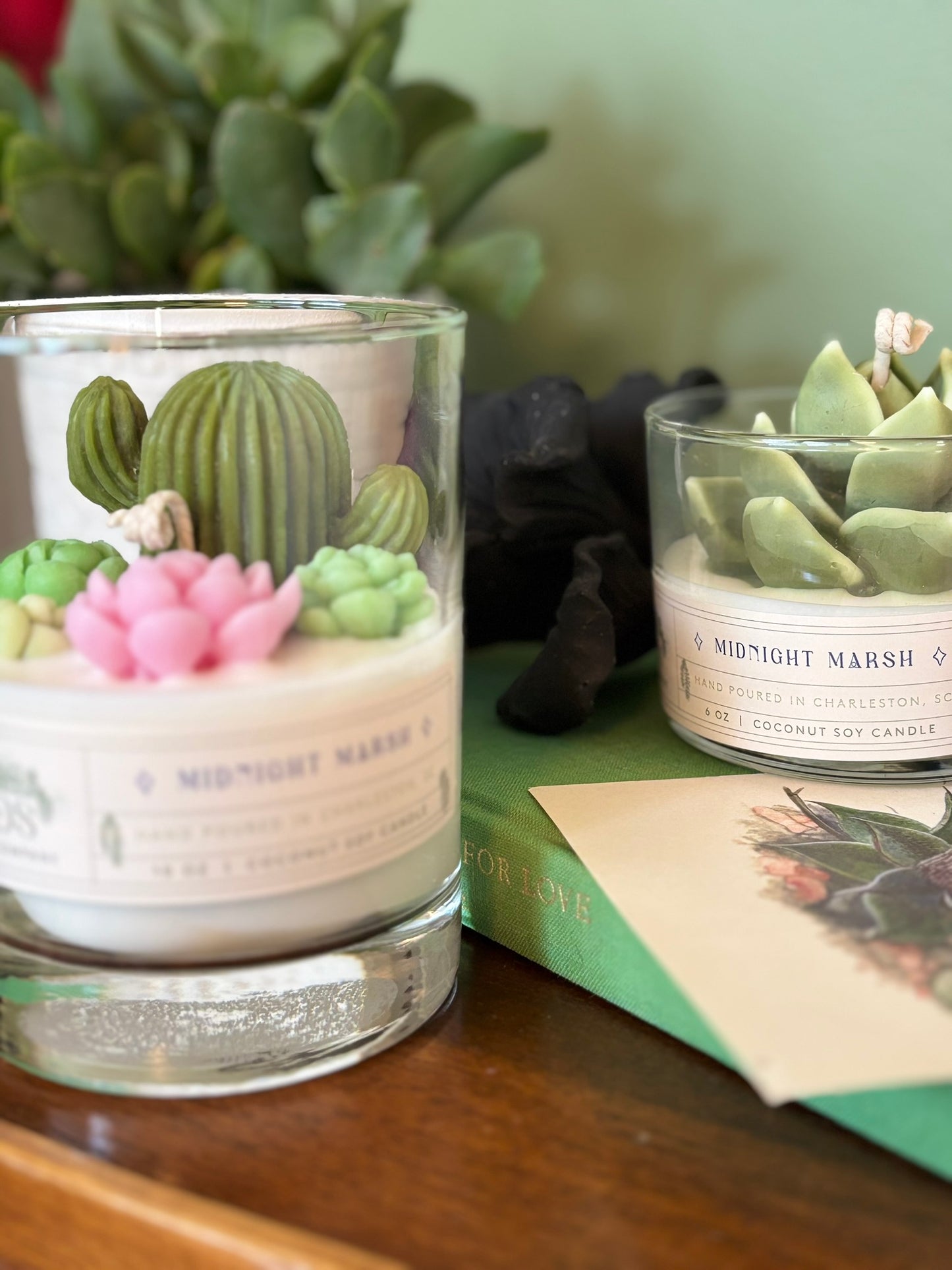 10 oz Handmade Succulent Terrarium Candle - Coconut Soy Wax, Nature-Inspired Home Decor