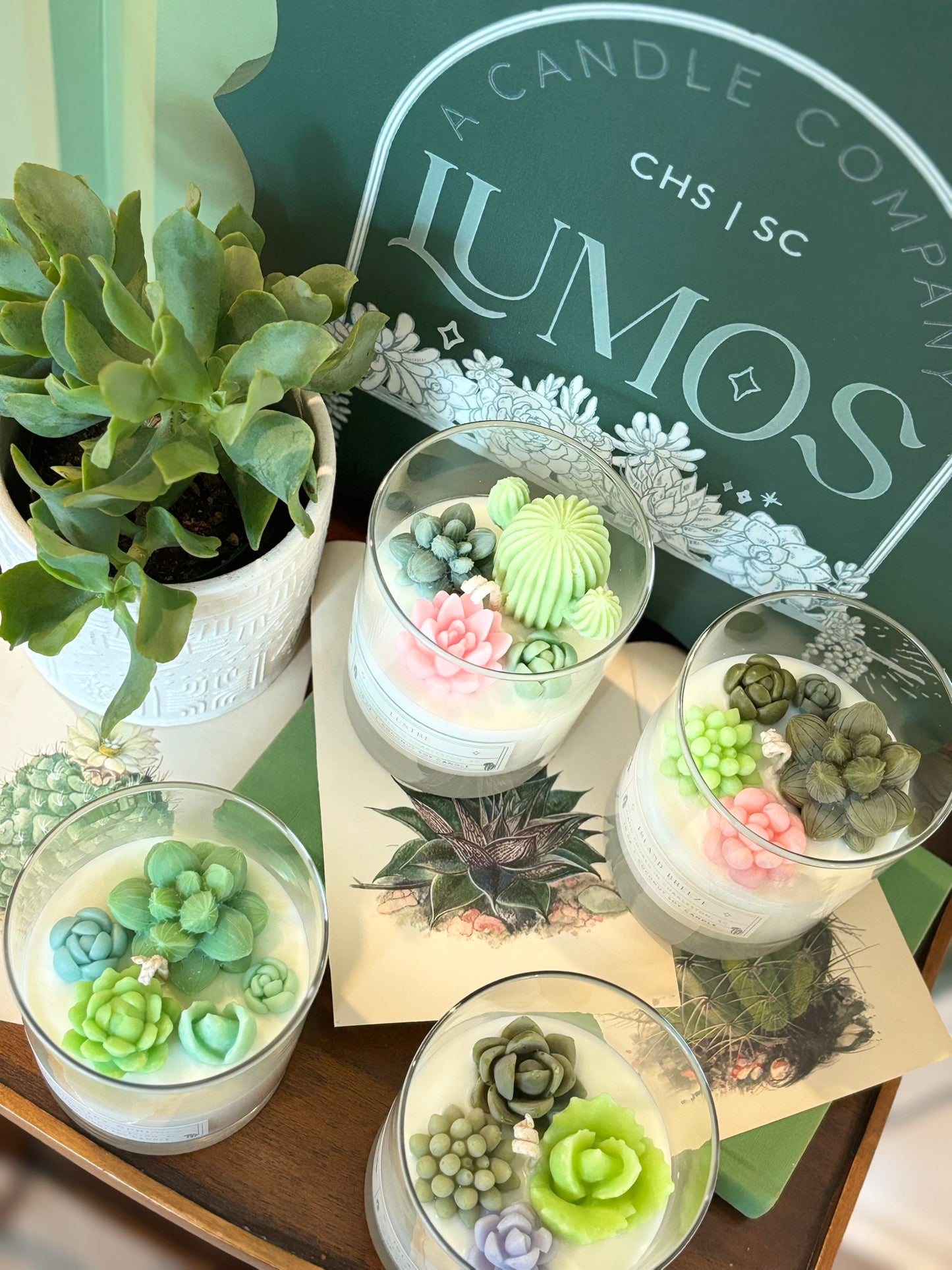 10 oz Handmade Succulent Terrarium Candle - Coconut Soy Wax, Nature-Inspired Home Decor