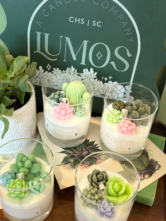 10 oz Handmade Succulent Terrarium Candle - Coconut Soy Wax, Nature-Inspired Home Decor