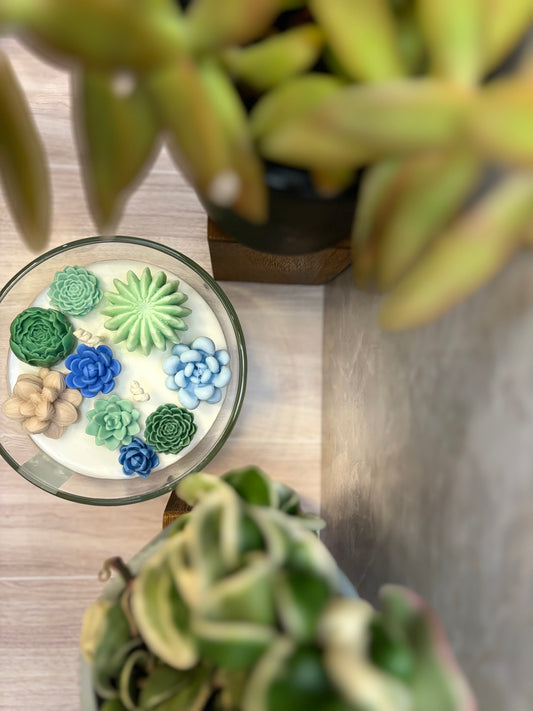 Succulent Flower Garden / Coconut Soy Wax / Handpoured Candle / Plant Lovers / Candle Lovers - Large Glass Bowl