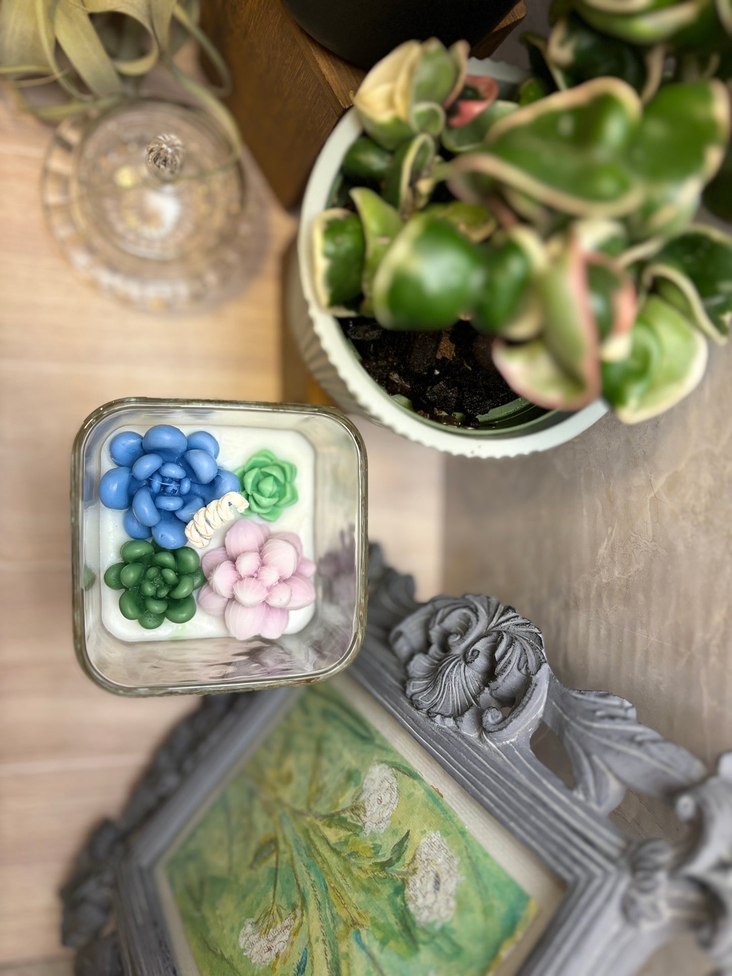 Succulent Terrarium Candle - Medium Square Jar