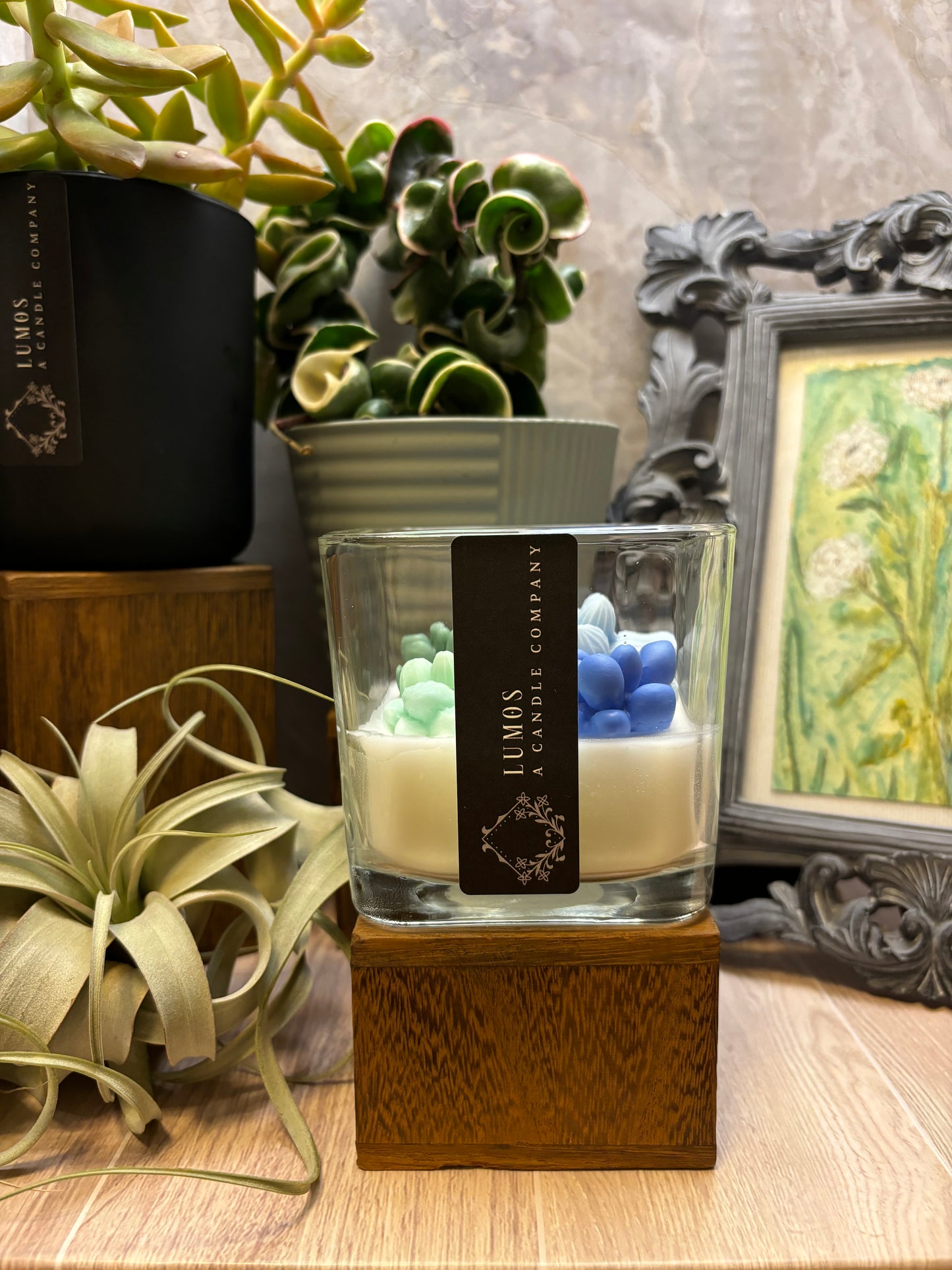 Succulent Terrarium Candle - Medium Square Jar