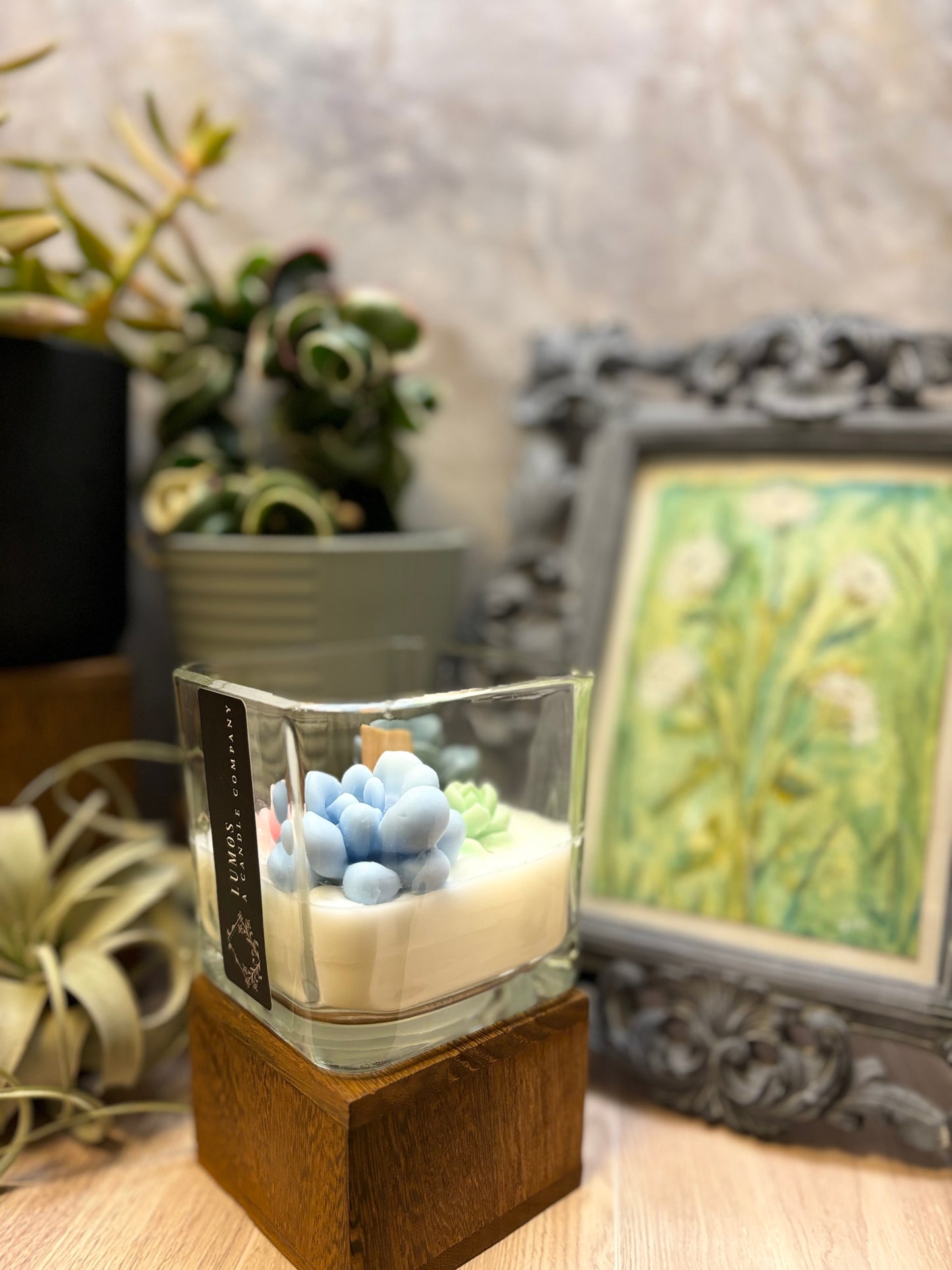 Succulent Terrarium Candle - Medium Square Jar