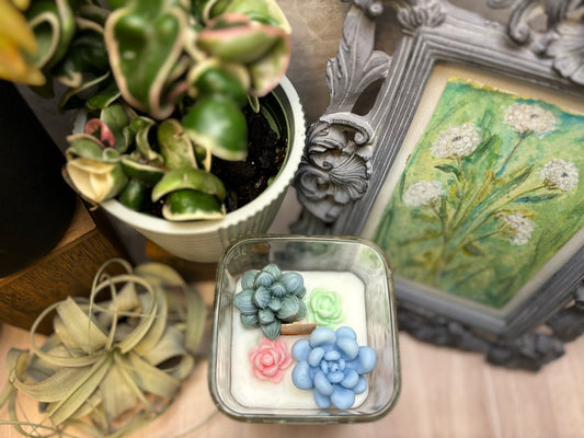 Succulent Terrarium Candle - Medium Square Jar