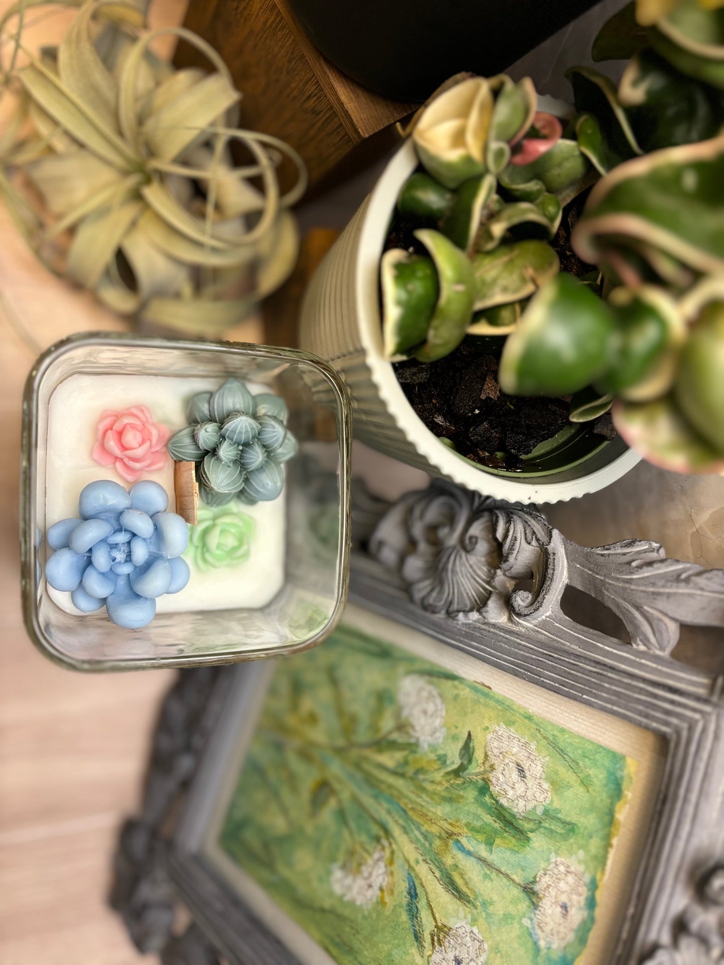 Succulent Terrarium Candle - Medium Square Jar