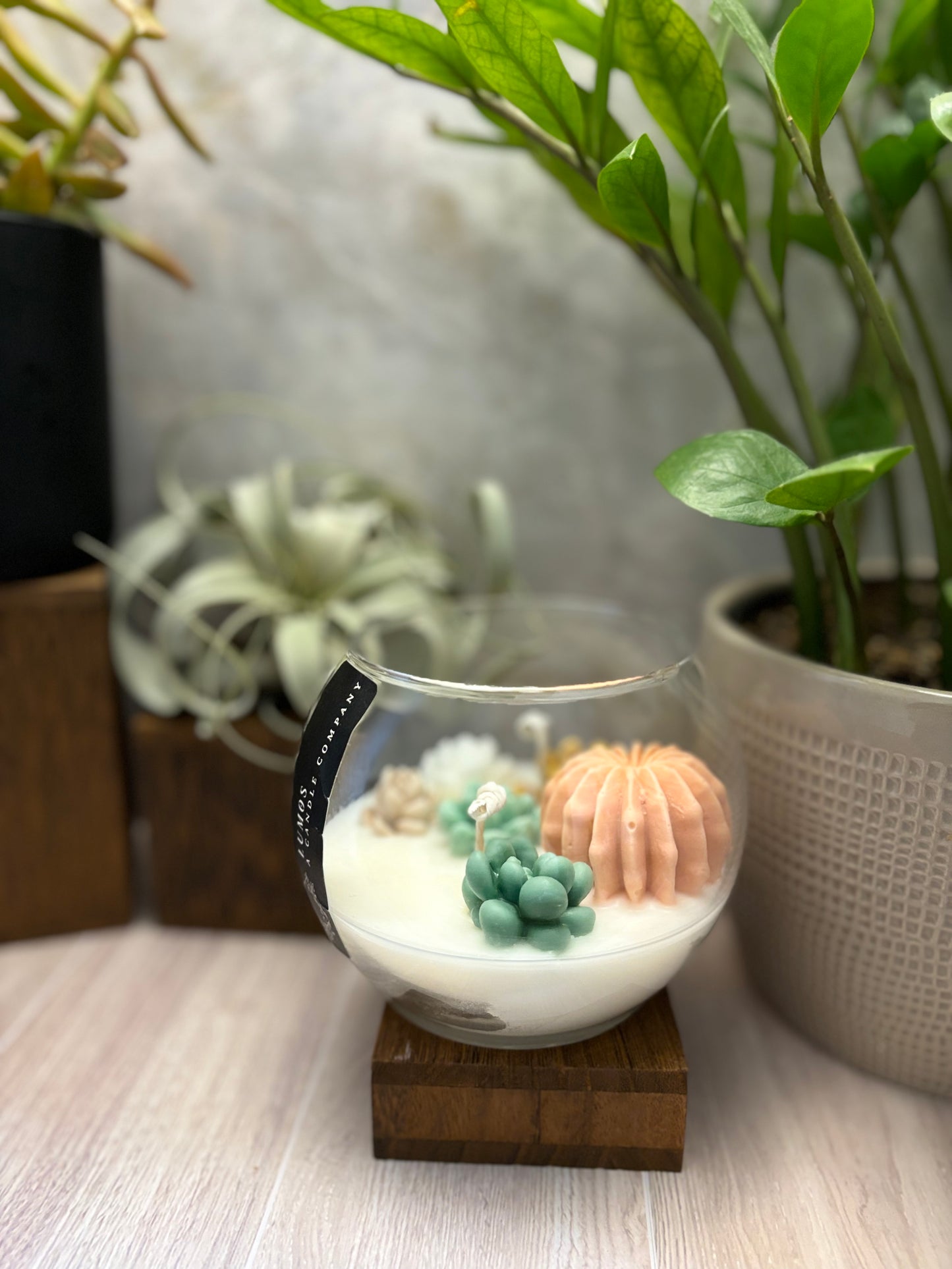 Succulent Flower Garden / Coconut Soy Wax / Hand poured Candle / Plant Lovers / Candle Lovers - Large Globe