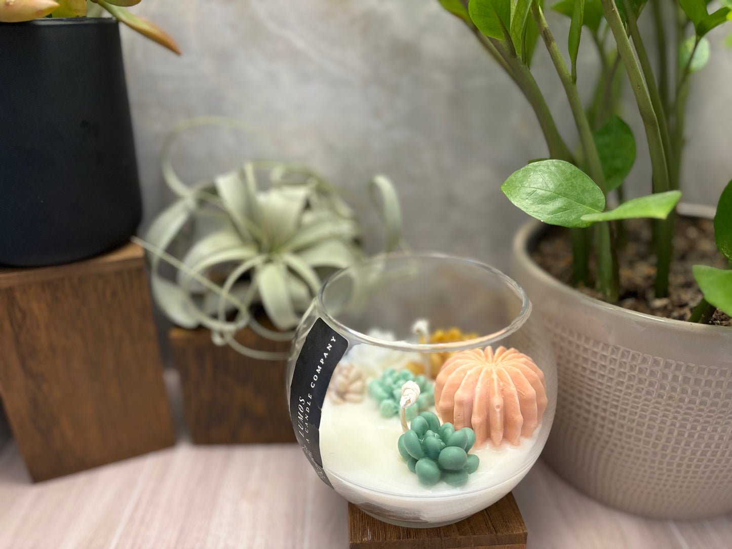 Succulent Flower Garden / Coconut Soy Wax / Hand poured Candle / Plant Lovers / Candle Lovers - Large Globe