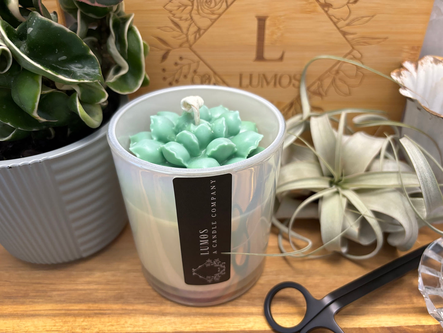 Succulent Flower Candle/ Coconut Soy Wax / Hand-poured Candle / Plant Lovers / Candle Lovers - Beautiful Iridescent Opal Jar