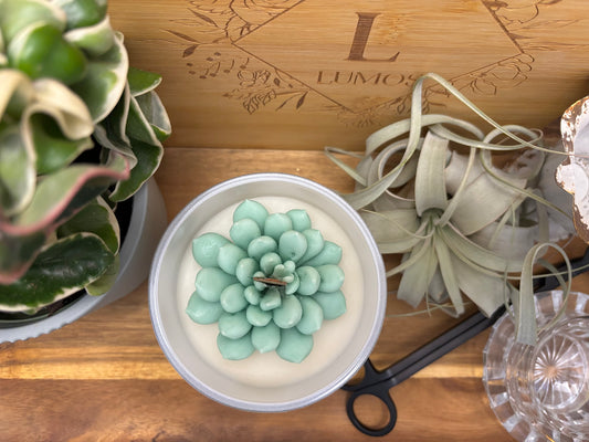 Succulent Flower Candle/ Coconut Soy Wax / Hand-poured Candle / Plant Lovers / Candle Lovers - Beautiful Iridescent Opal Jar