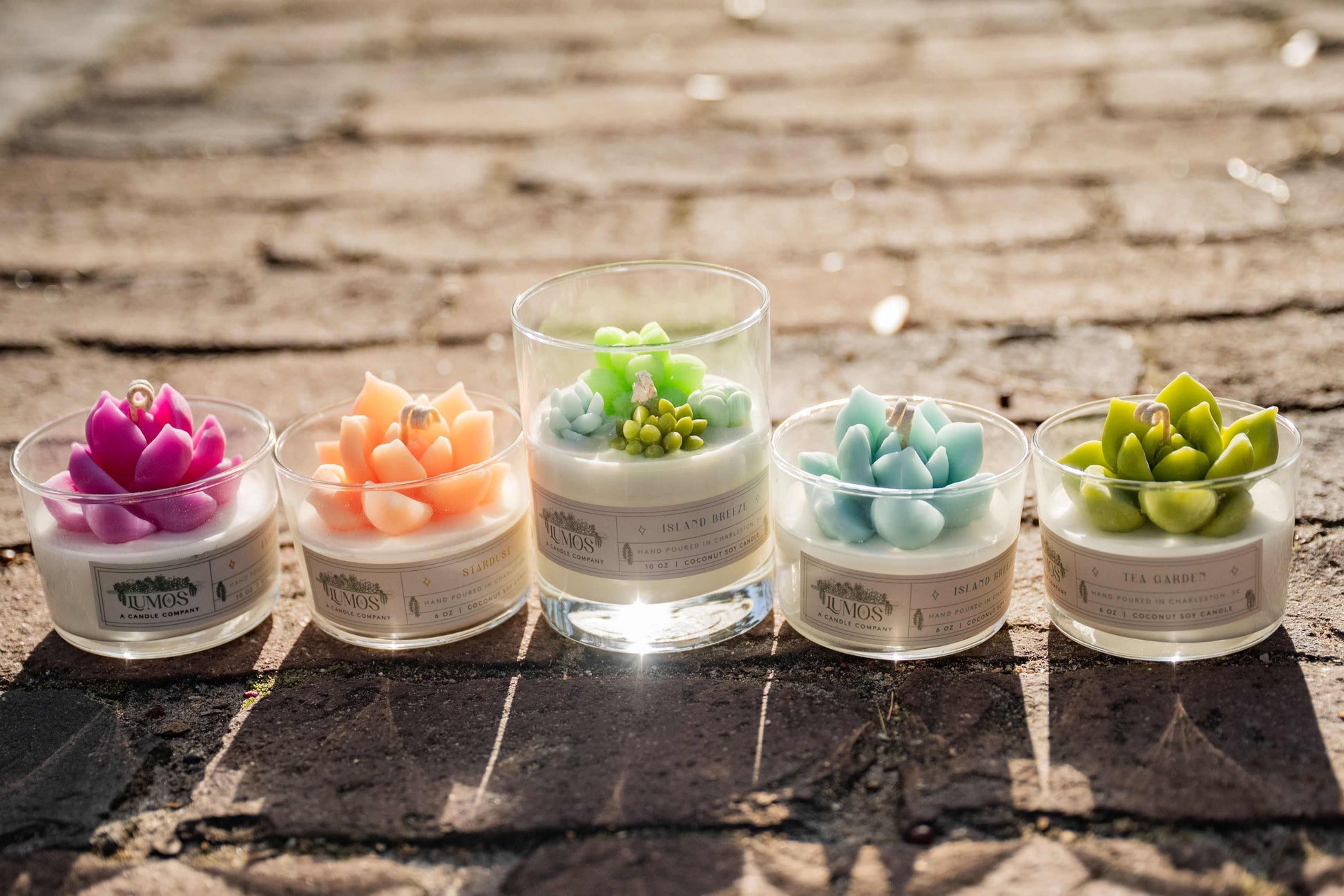 Succulent Terrarium Candle with coconut soy wax and realistic succulent decor for nature-inspired home ambiance