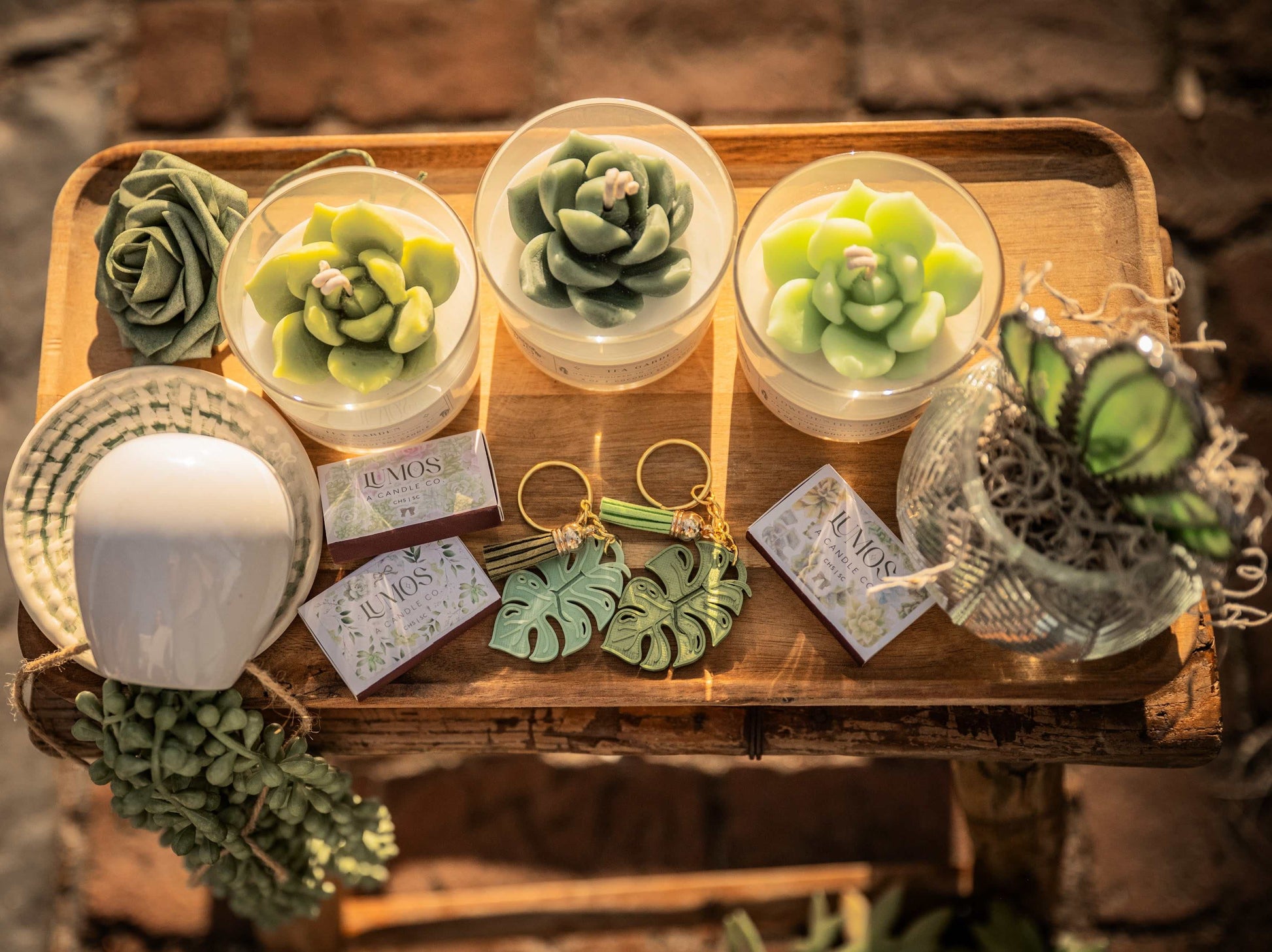 Succulent terrarium candle with realistic succulent on coconut soy wax in 6 oz jar for nature-inspired home decor