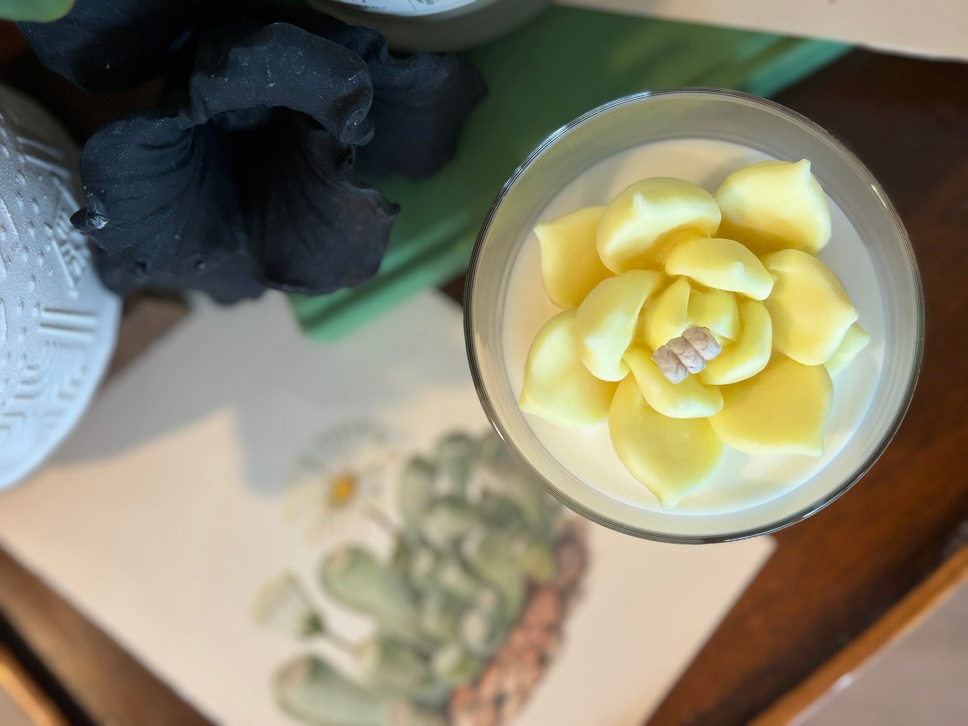 6 ounce succulent candle